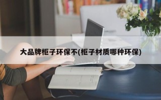 大品牌柜子环保不(柜子材质哪种环保)