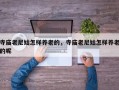 寺庙老尼姑怎样养老的，寺庙老尼姑怎样养老的呢