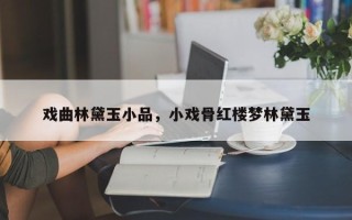 戏曲林黛玉小品，小戏骨红楼梦林黛玉
