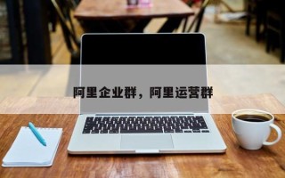 阿里企业群，阿里运营群