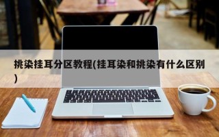 挑染挂耳分区教程(挂耳染和挑染有什么区别)
