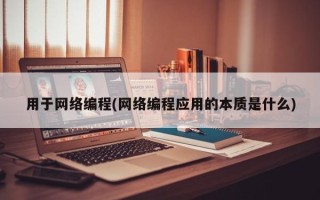 用于网络编程(网络编程应用的本质是什么)