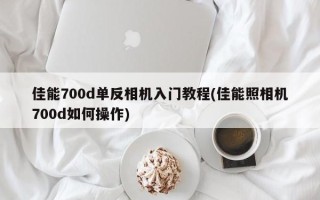 佳能700d单反相机入门教程(佳能照相机700d如何操作)