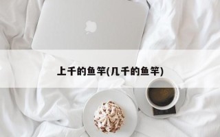 上千的鱼竿(几千的鱼竿)